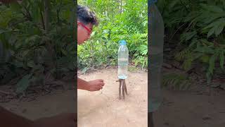 Wash your hands when in the forest 🧼🔥 camping survival bushcraft experiment shortvideo [upl. by Valentin732]