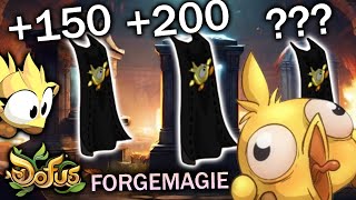 ULTIME TRYHARD pour LA PLUS BELLE CAPE TOFU FOU de DOFUS   FORGEMAGIE [upl. by Ierbua]