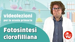 Videolezioni la Fotosintesi clorofilliana  Renato lo scienziato Renatoloscienziato [upl. by Mode]