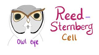 ReedSternberg Cell  Owl 🦉Eye Appearance  Hodgkin’s Lymphoma [upl. by Ethel]