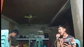 tausog song kantawa sata mga idol Wala Tay lingaw [upl. by Nave]