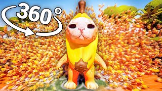 BANANA CAT 50000 TIMES 360° video  VR  8K   Banana Cat Meme [upl. by Beore]