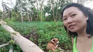 MUNTIK NG LIPARIN ANG BUBONG SA BAHAY NAMIN SA LAKAS NG HANGIN [upl. by Ginny]