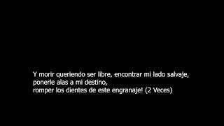 Letra Hablando de la libertad Subtitulada  La Renga  Despedazado por mil partes [upl. by Ondrej992]