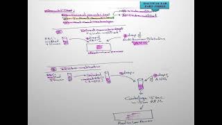 W8 L1BloodBank2024sKhwaiter Coombs Test [upl. by Yenaffit]