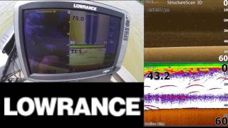 Lowrance Gen3 summertime thermocline featuring Beaver Lake Fishing Guide Brad Wiegmann [upl. by Shabbir]