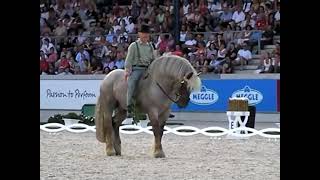 CHIO Aachen  Funny Dressage Demo  Ardennes Heavy Draft Horse [upl. by Loresz]