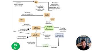 Ecologie 2 Stikstofkringloop [upl. by Shriver70]