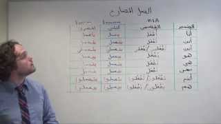 Arabic Grammar Conjugating Presenttense verbs in Colloquial and Standard Arabic الفعل المضارع [upl. by Chrisman]