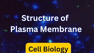 Cell Membrane Structure  Fluid Mosaic Model [upl. by Ysak]