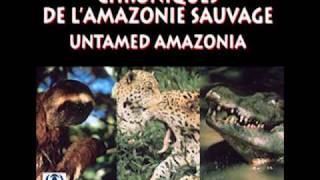 Untamed Amazonia [upl. by Donnie]