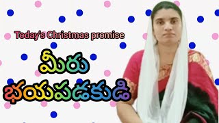 🎉🎊Todays Christmas promise of God 🎉🎊🧑‍🎄 [upl. by Lody]