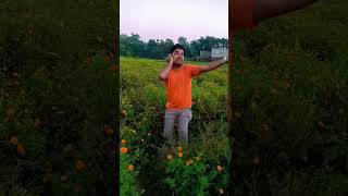 Bangla New Song I Roj Sokale School A Jaw I Sanita I Full Song  Release On shorts viral meme [upl. by Jarv]