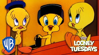 Looney Tuesdays  Top 10 Cutest Moments from Tweety Bird 🐥  Looney Tunes  WB Kids [upl. by Maddox]