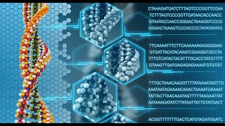 Understanding Genotyping Technologies Methods and Applications 3 Minutes [upl. by Nnagrom]