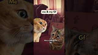 2 Cat talking Memes cat catmemes katze chat gatos funny [upl. by Latreece]