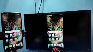 2 Ways for Screen Mirroring in TCL TV  TCL Android TV  Screencast [upl. by Garrard954]