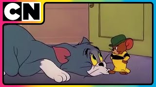 Tom amp Jerry 😺🐭  Million Dollar Chaos Faction  Cartoon for Kids  Only on Cartoon Network [upl. by Faludi]