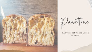 Part 2  How to make Sourdough Panettone at home [upl. by Lona]