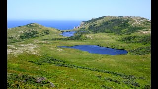 VOYAGE EN ARCHIPEL StPierre et Miquelon [upl. by Repooc]