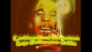 Kaya Deliberation Riddim Rasta Herbalist Music ReggaeDub Made with Reason 6 [upl. by Hertberg]