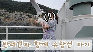 반려견 동반 힐링여행 애견동반 여행코스태종대은하수유람선 흰여울문화마을 광안리해수욕장 부산3박4일 [upl. by Murvyn]