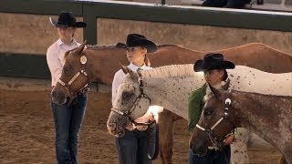 4H Horses  Iowa State Fair 2013 [upl. by Fowler62]