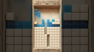 Can you beat the best score Challenge in BLOCK PUZZLE 91 [upl. by Ahsita]