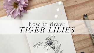 How to Draw Tiger Lilies  Authentic by Frani [upl. by Dedie369]