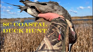 South Carolina Coastal Duck Hunt [upl. by Initsed]