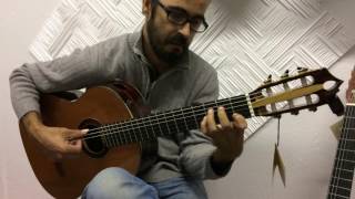 José Grossinho  Verdes Anos Carlos Paredes  Guitarra Clássica Lágrima Master Cocobolo  Redwood [upl. by Elamrej]