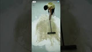 Carpet cleaning Cr 小红书 [upl. by Adieren]