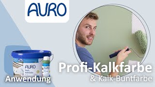 AURO Anwendung Kalkfarben und KalkBuntfarben [upl. by Story]