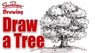 How to draw a tree in pen and ink [upl. by Akimahs]