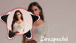 Direspectul Remix 2024  Aggressive Pulse by Luka Stone  Original Track by Mariana Costa [upl. by Anayek104]