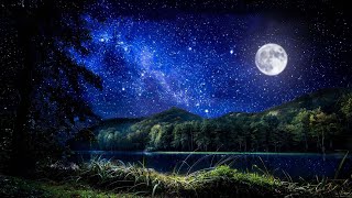 Deep Sleep Music Night Ambient Sounds And Beautiful Piano Music Cricket Swamp Sounds at Night [upl. by Airegin]