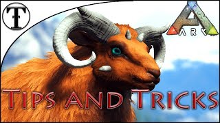 Fast OvisSheep Taming Guide  Ark  Survival Evolved Tips and Tricks [upl. by Yazbak783]