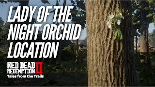 Red Dead Redemption 2 Lady of the Night Orchid Multiple Location [upl. by Naima520]