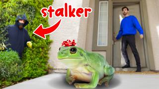 MY STALKER Sent Me A FROG CAUGHT ON CAMERA [upl. by Glennie]