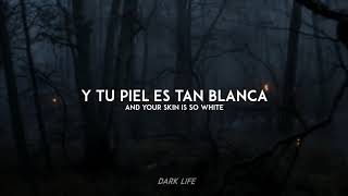 Miike Snow  Silvia Sub Español Lyrics [upl. by Vassaux]