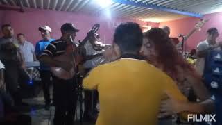 CAÑA BRAVA VIOLINES DE PARAGUANÁ [upl. by Eadnus]