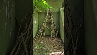 TiPi Structure found at Camp Hero Montauk Bunker teepee explore abandonedplaces longisland [upl. by Enneite]