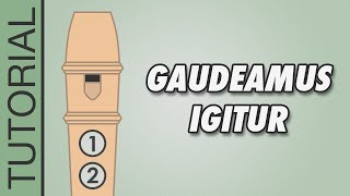 HOW TO PLAY the Recorder Gaudeamus Igitur [upl. by Dryden950]