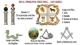 La Biblia es Ciencia ADN  El misterio de los 4 seres viviente ACGT [upl. by Eilama]