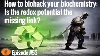 How to biohack your biochemistry Is the redox potential the missing link [upl. by Desai]