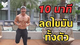 Level 1 10 นาที ลดไขมันทั้งตัว กระชับกล้ามเนื้อ ที่บ้าน สำหรับมือใหม่  Home Workout [upl. by Nywroc]