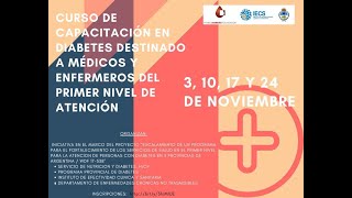 Capacitación en Diabetes para médicos y enfermeros del primer nivel de atención [upl. by Murvyn]