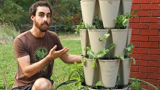 Vertical Gardening Grow More Food in Less Space [upl. by Eded]