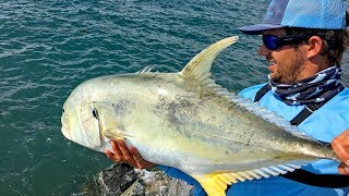 Fishing for Giant Jack Crevalles on the Jetties [upl. by Alin]