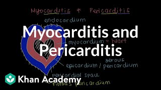 What is myocarditis and pericarditis  Circulatory System and Disease  NCLEXRN  Khan Academy [upl. by Saideman]